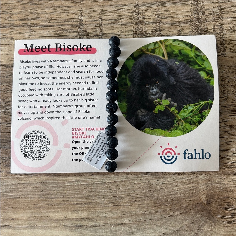 Fahlo Dian Fossey Gorilla Fund Bracelet - Picture 2 of 2